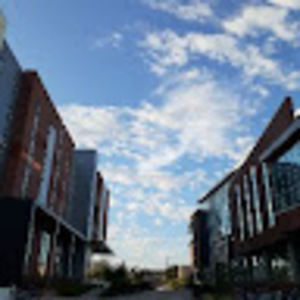 Meet your Posher, Trinity